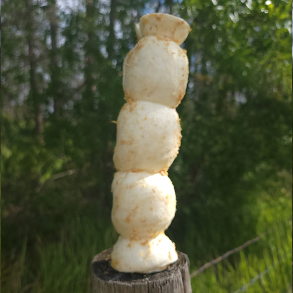 Cheek Rolls and Chips